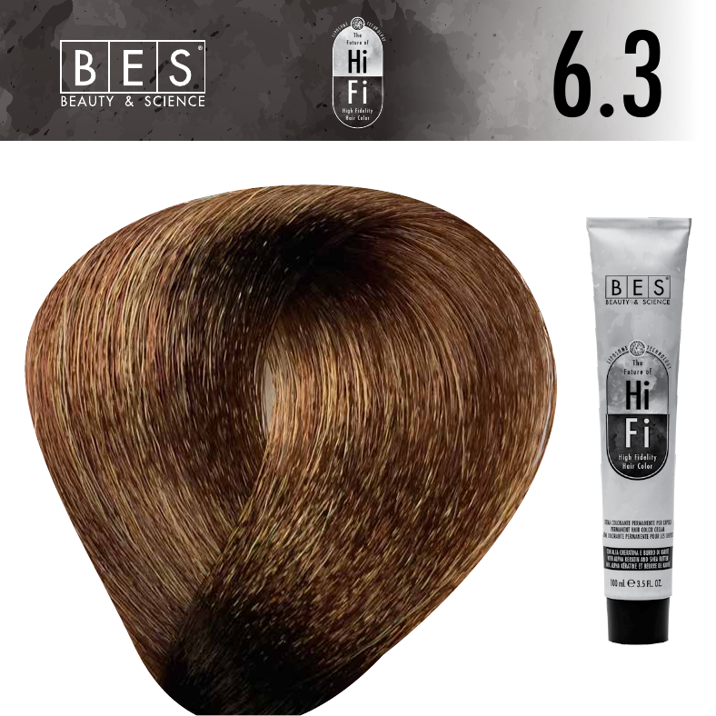 REF_P_0_BES The Future Of Hi Fi Hair Color No.6.3