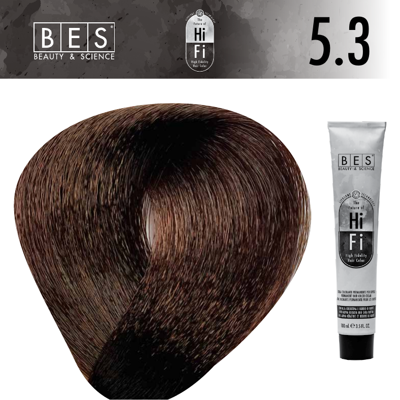REF_P_0_BES The Future Of Hi Fi Hair Color No.5.3
