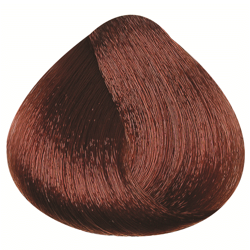 REF_P_1_BR Hair Color Cream 100 ml No.5.43