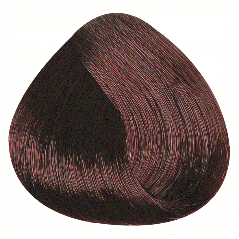REF_P_1_BR Hair Color Cream 100 ml No.5.5
