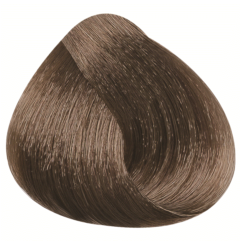 REF_P_1_BR Hair Color Cream 100 ml No.8.08