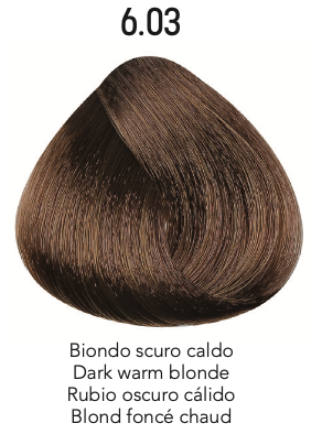 BR Hair Color Cream 100 ml No.6.03