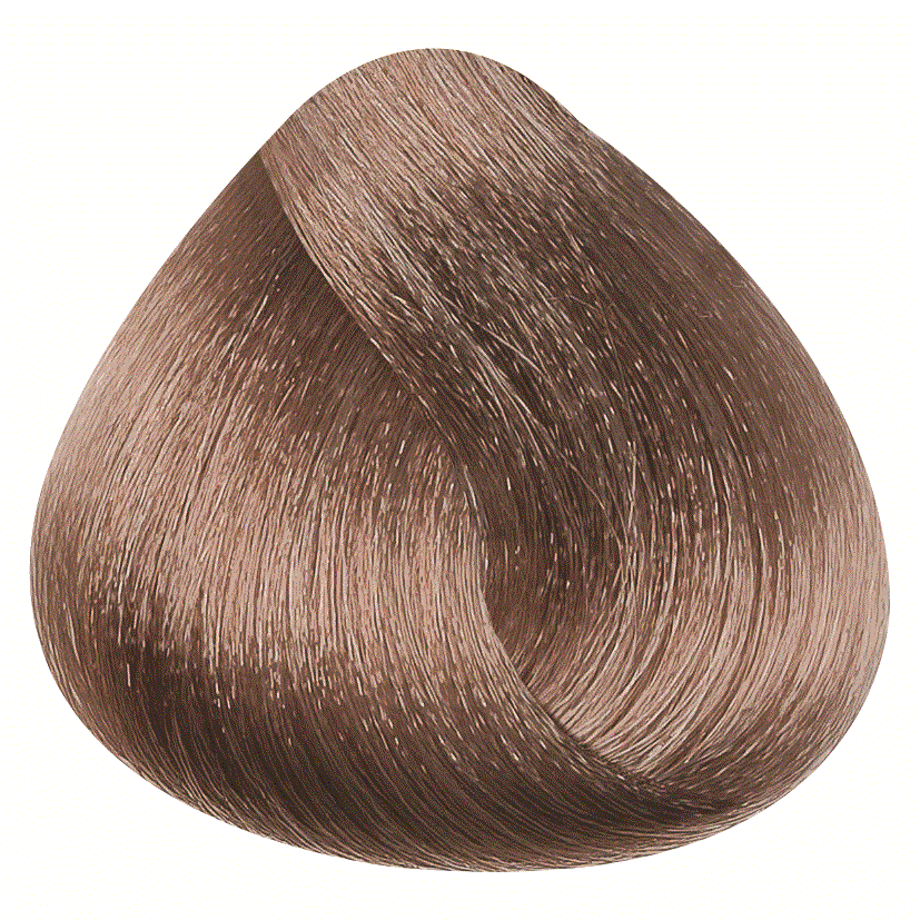 REF_P_0_BR Hair Color Cream 100 ml No.8.1
