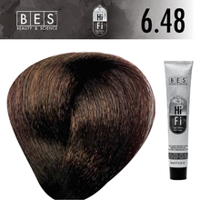 BES The Future Of Hi Fi Hair Color No.6.48