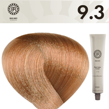 BR Hair Color Cream 100 ml No.9.3