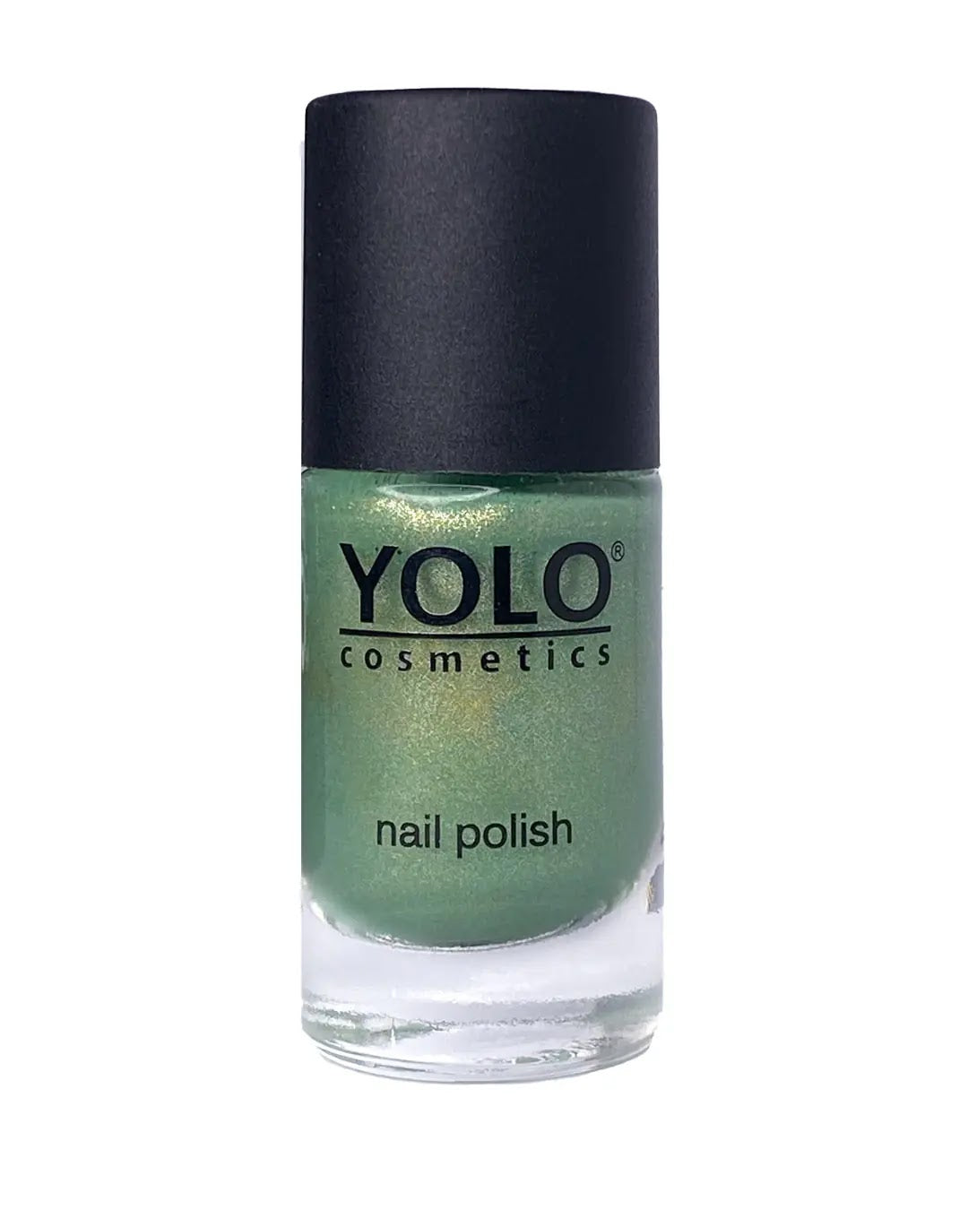REF_P_0_yolo limited no.121