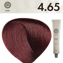 BR Hair Color Cream 100 ml No.4.65