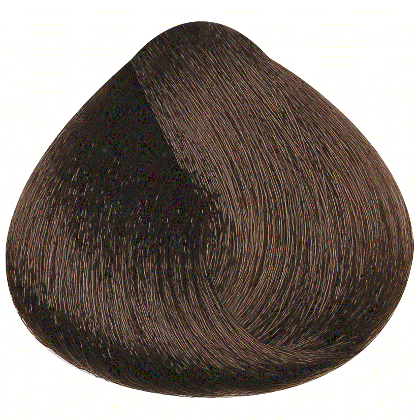 REF_P_1_BR Hair Color Cream 100 ml No.6.00