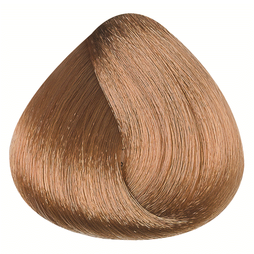 REF_P_1_BR Hair Color Cream 100 ml No.8.3
