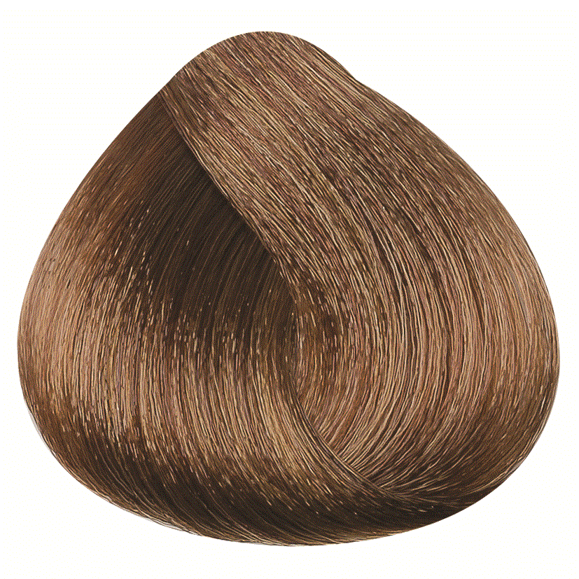 REF_P_0_BR Hair Color Cream 100 ml No.8.00
