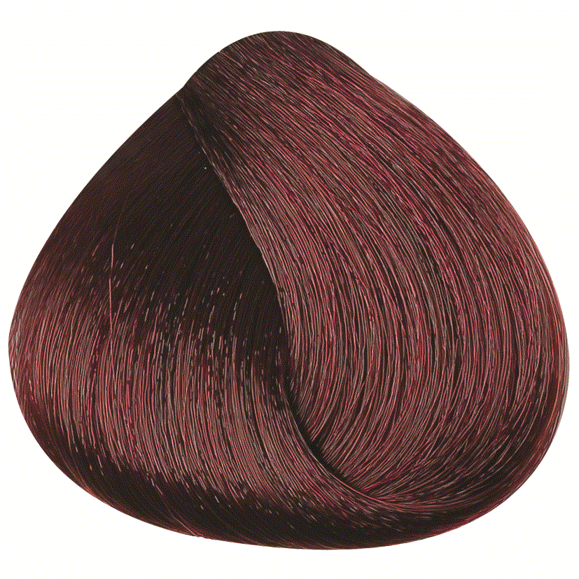 REF_P_0_BR Hair Color Cream 100 ml No.4.65