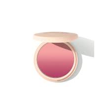 Sheglam Divine Flush Matte Blush Insta Flame 6.8 g